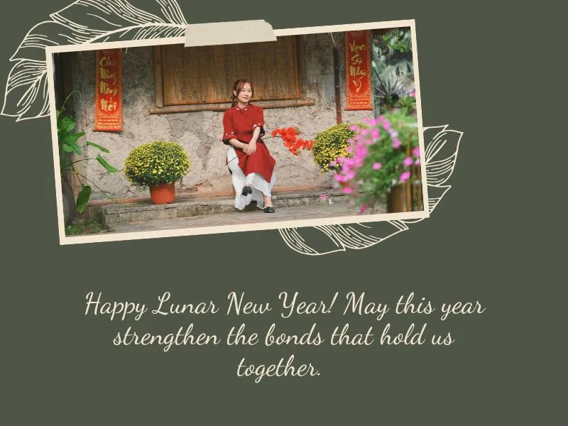 voh-status-mung-3-tet-7