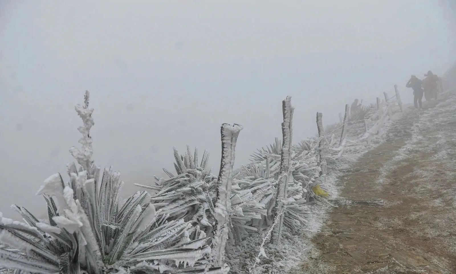 Miền Bắc chìm trong giá rét, có nơi xuống dưới 3 độ C