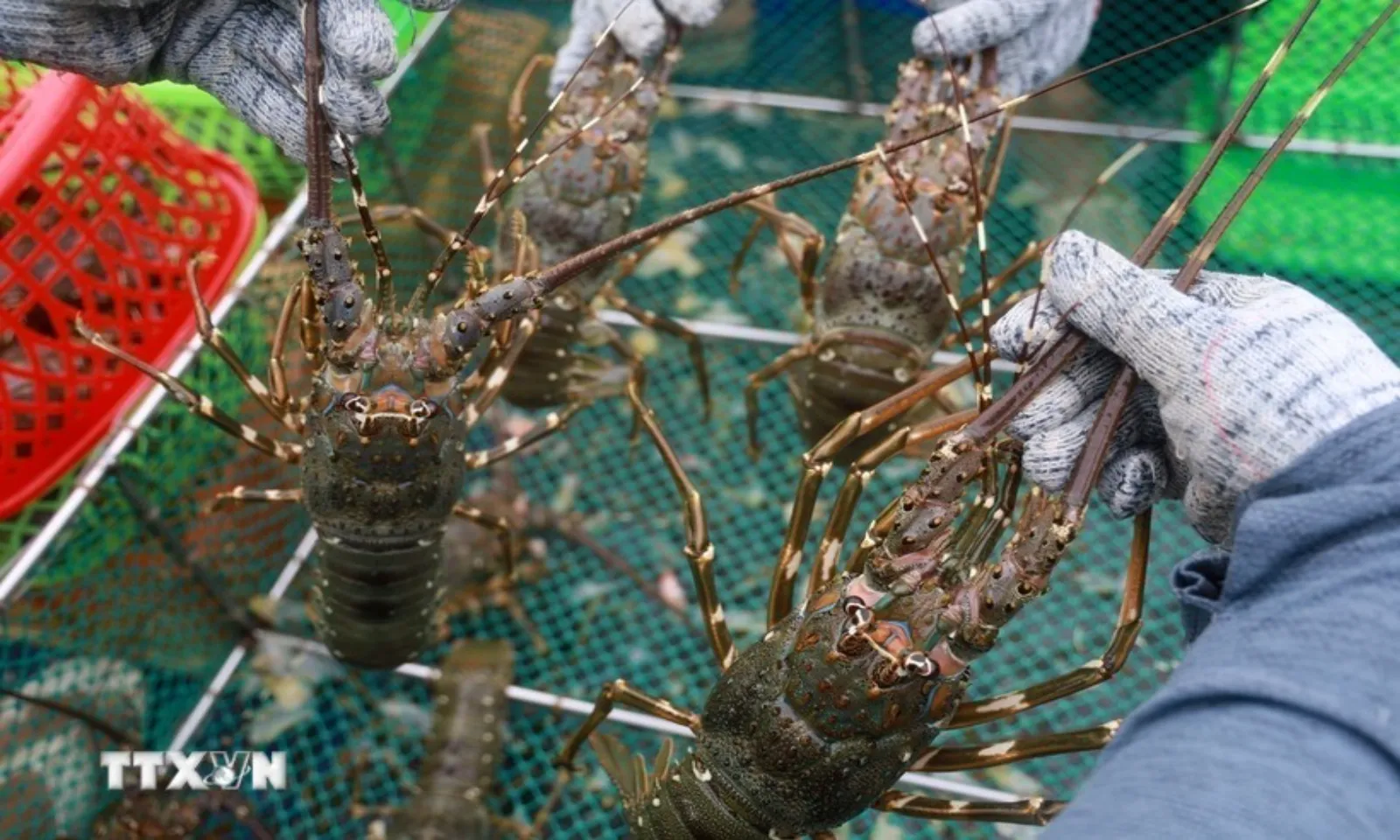 Kinh tế Việt Nam tăng trưởng ấn tượng giữa nhiều thách thức