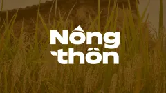 Chủ động xuống giống, vững mùa bội thu