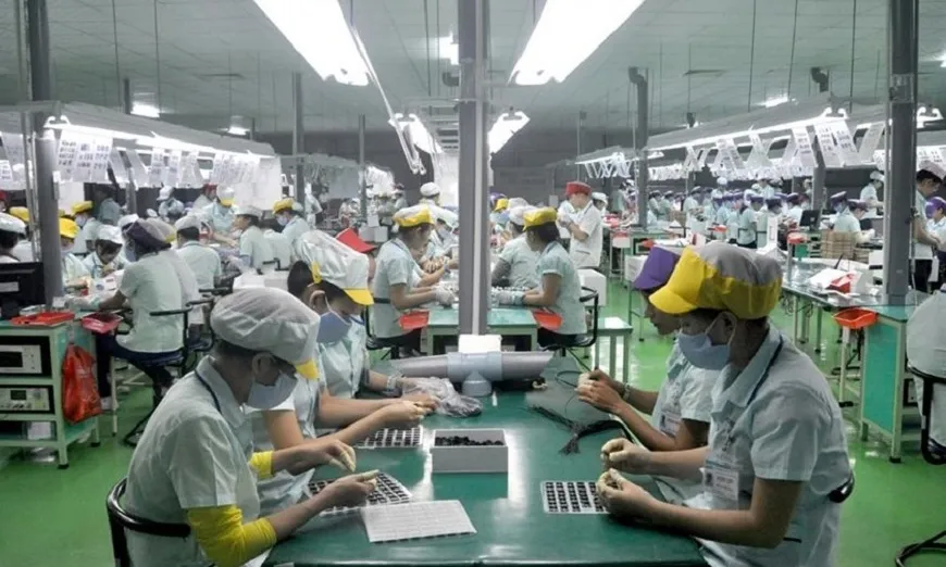 Kim ngạch xuất nhập khẩu Việt Nam-Nhật Bản năm 2025 đạt hơn 50 tỷ đô la Mỹ