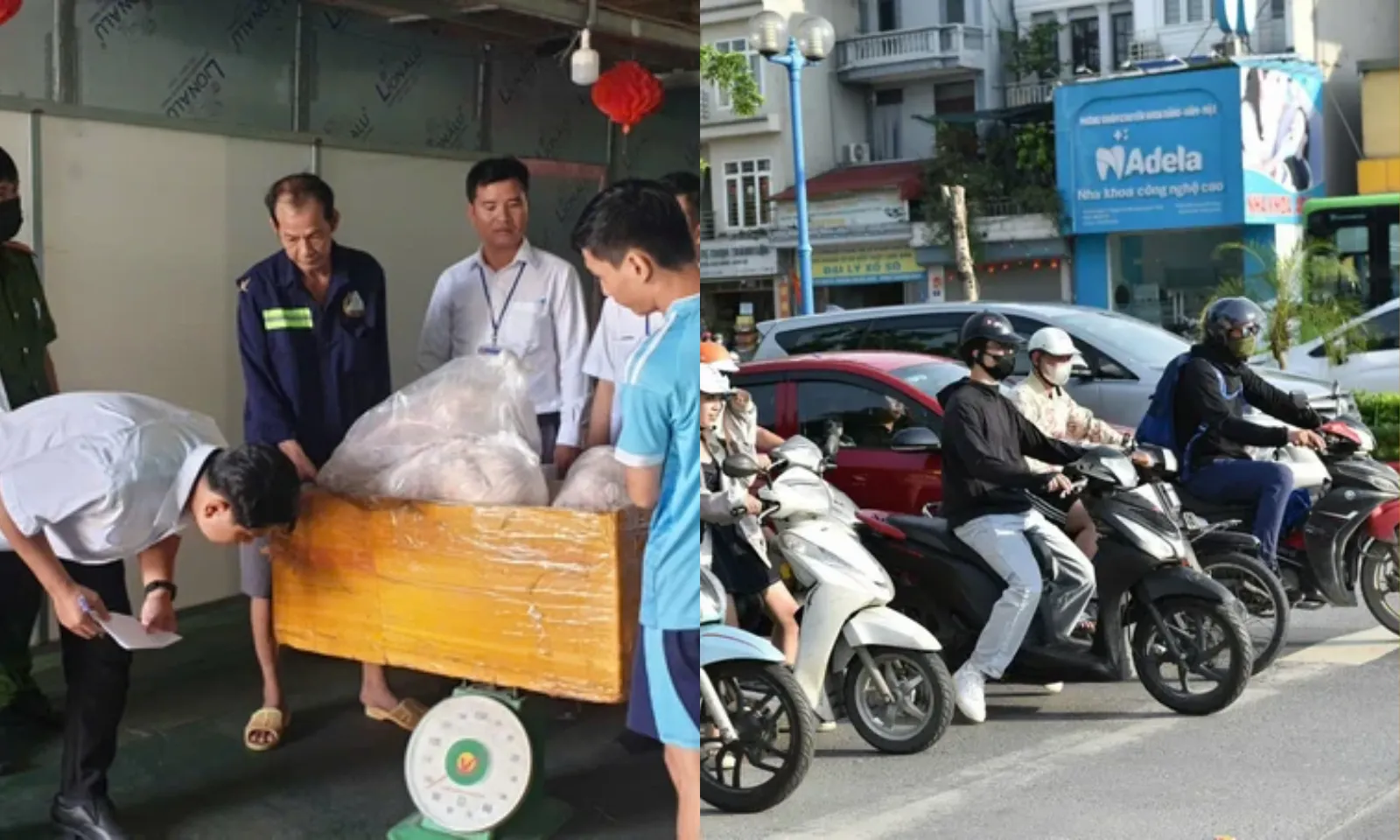 Điểm tin chiều 09/01: Xe máy phải kiểm định khí thải | Phát hiện 2 tấn thịt heo không rõ nguồn gốc 