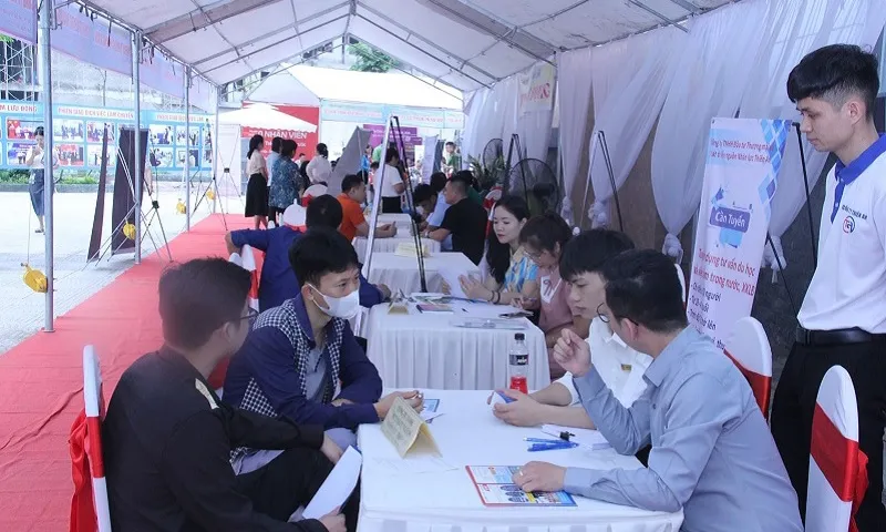 Cả nước có 1,4 triệu thanh niên thất nghiệp và không đi học