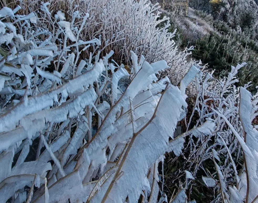 Ảnh chụp màn hình (86)