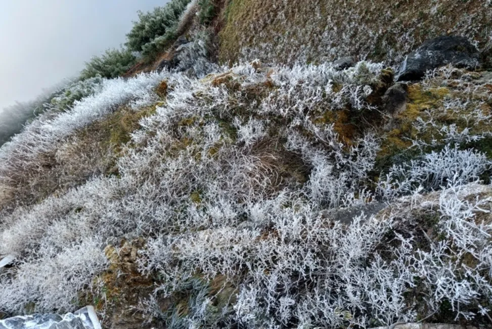 Ảnh chụp màn hình (87)