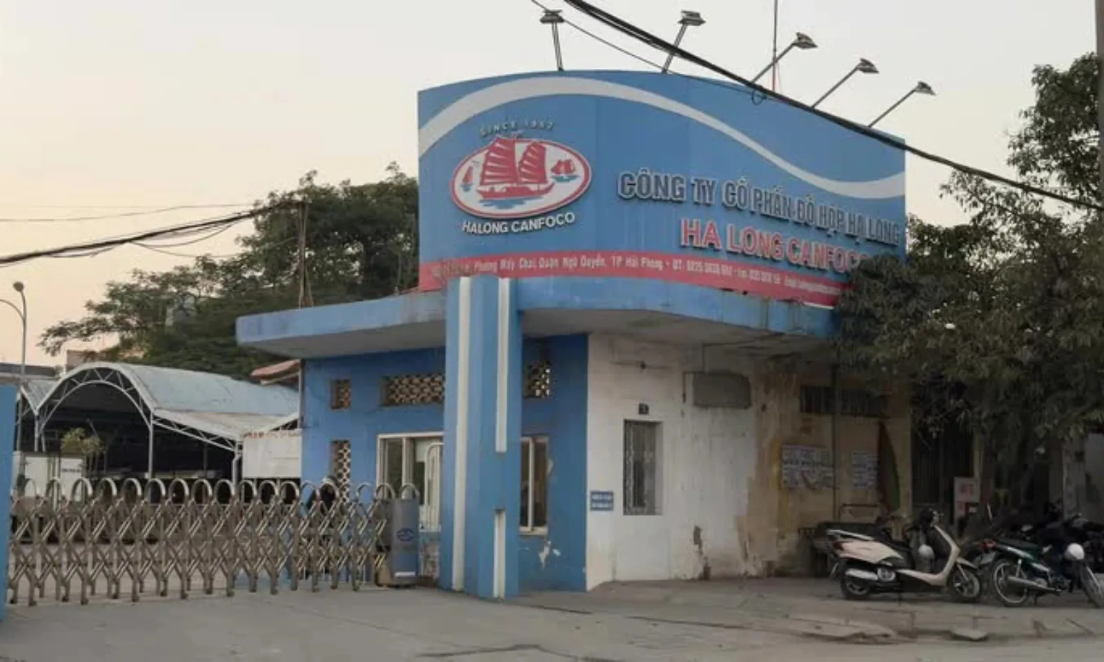 ảnh minh họa MT (2)