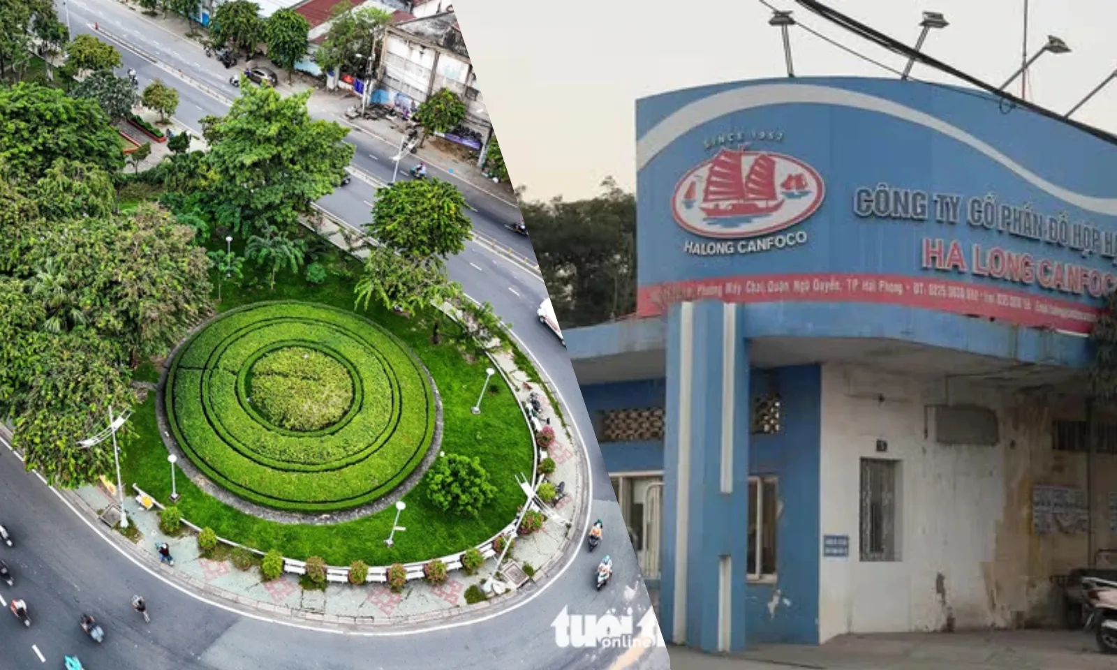 Điểm tin sáng 12/1: TP.HCM triển khai dự án công viên | Nhà máy Đồ hộp Hạ Long tạm dừng sản xuất