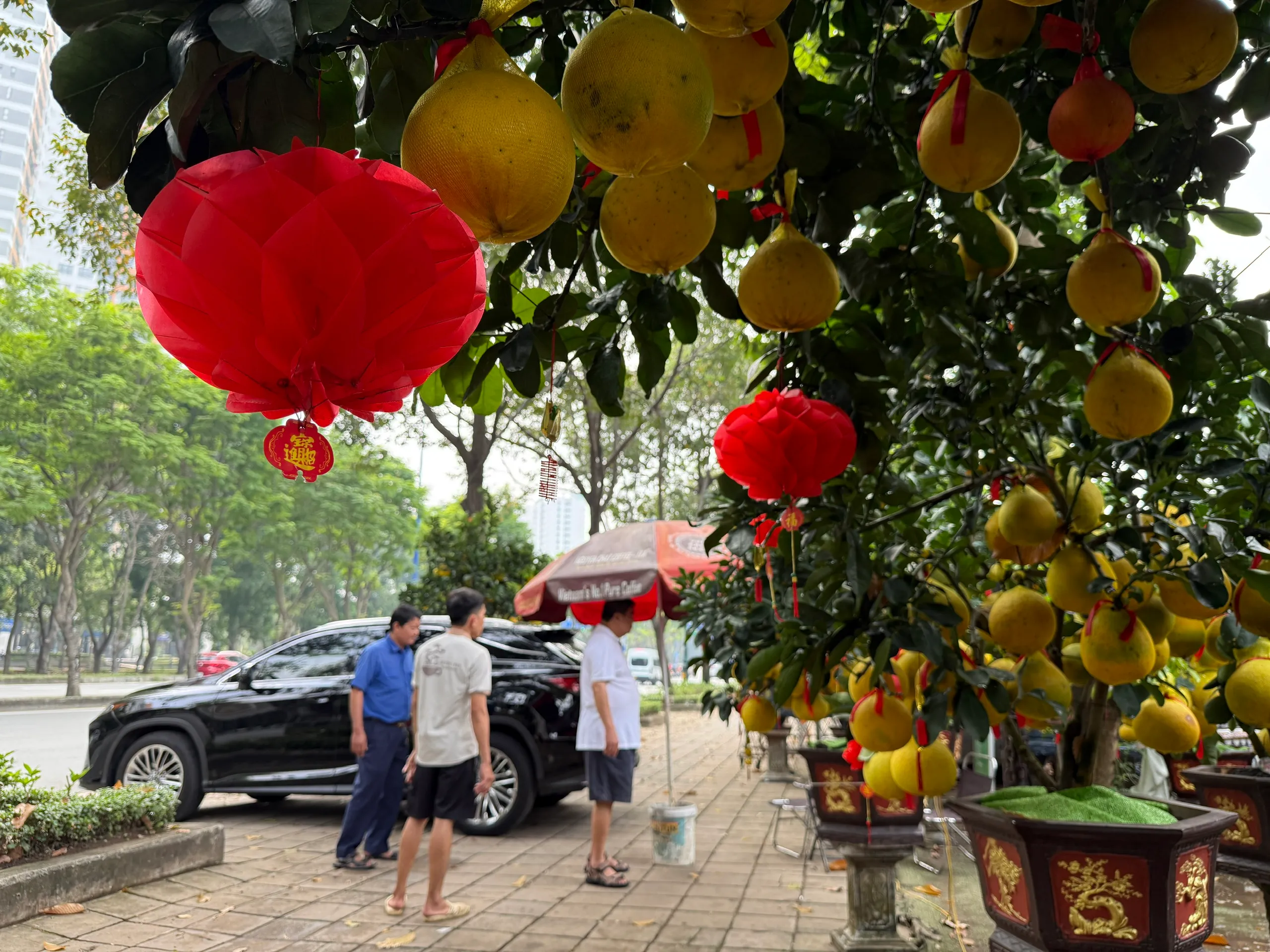 z7418059779245_487fac6c18804f967a71fb99ab616412