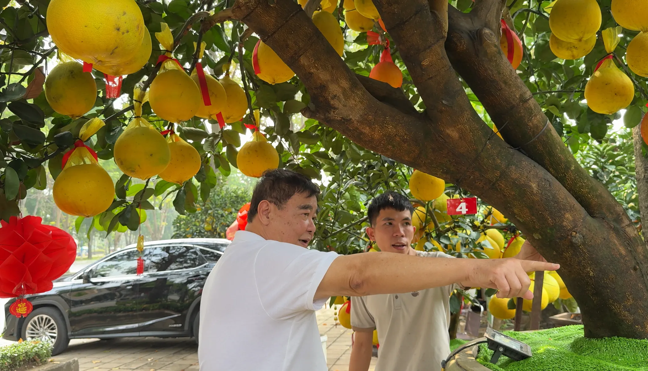 z7418059807054_2abca0d1ff8ed3532a6598ff9b31f05a