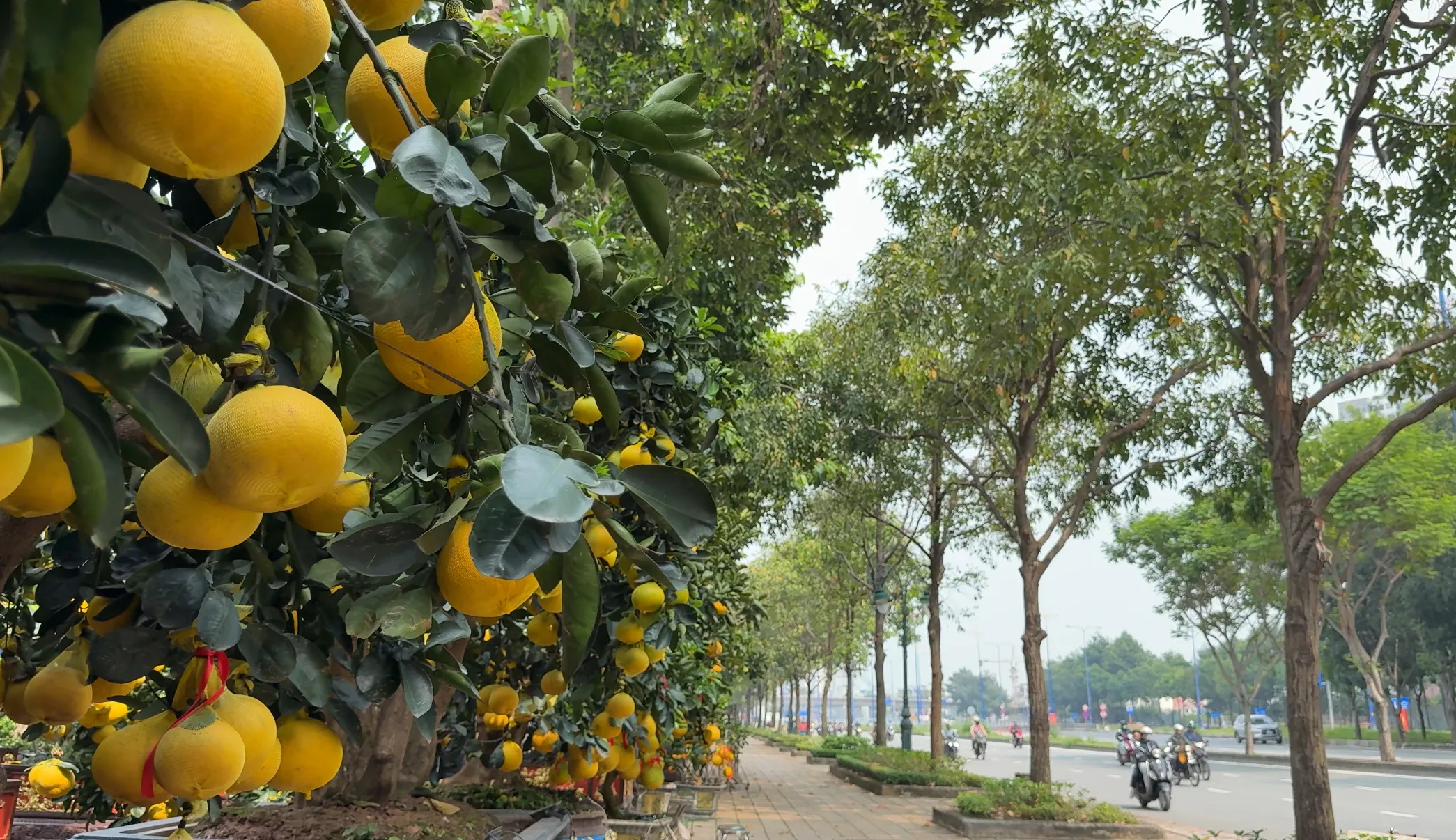 z7418059858623_410be5e837536e8347fc4728a708ea6d