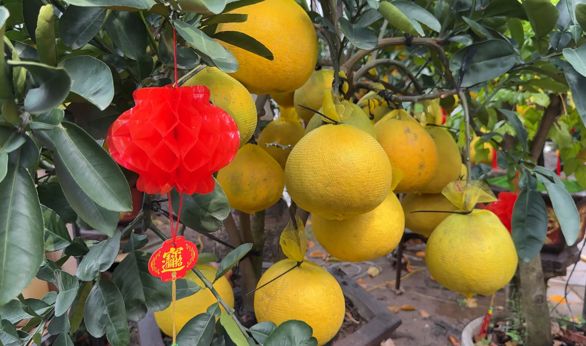 z7418059864964_bb013208c3936f15e31b9af3cf980b61