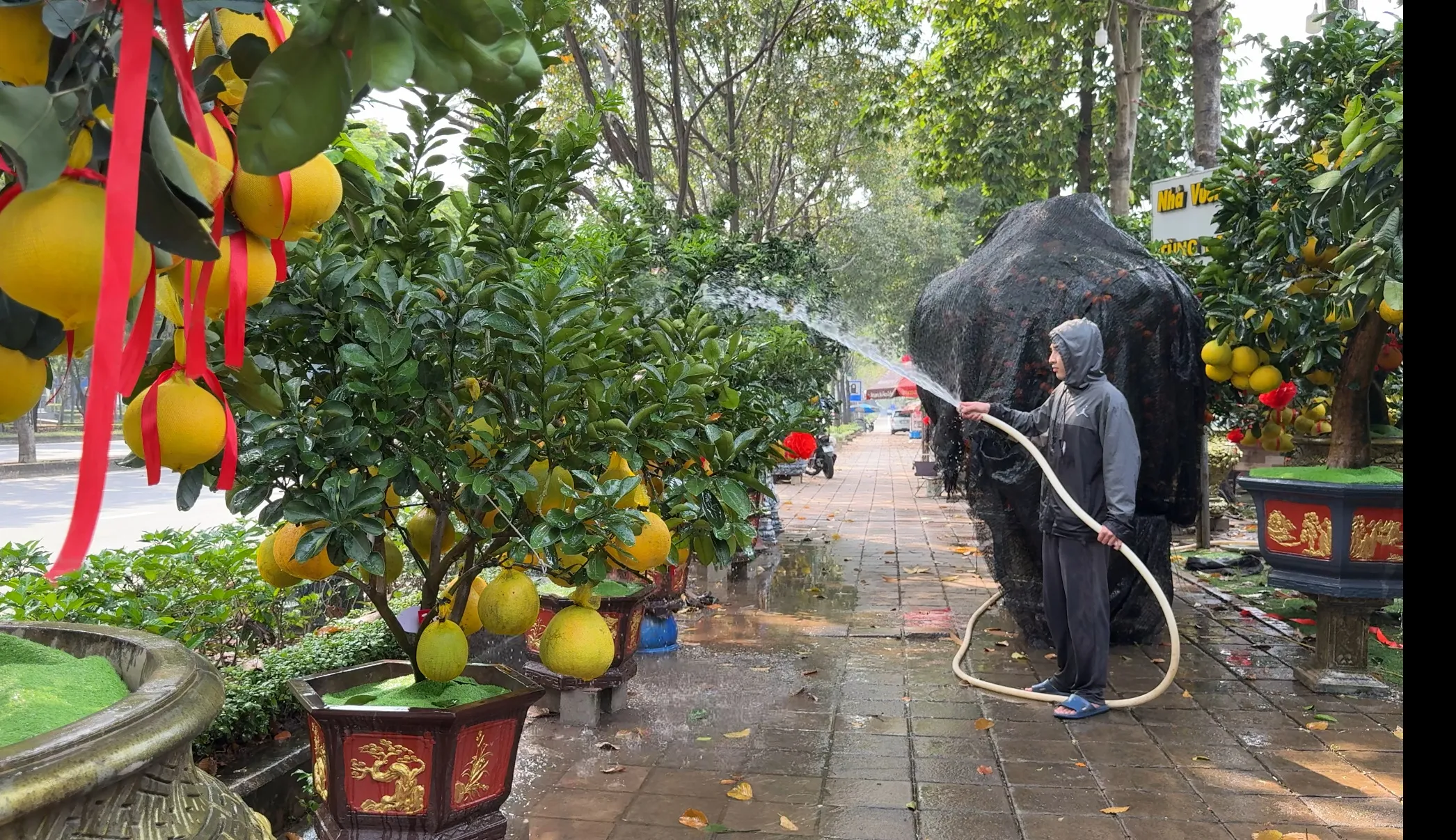 z7418059871869_862f0405a3db3338afef44f10470707f