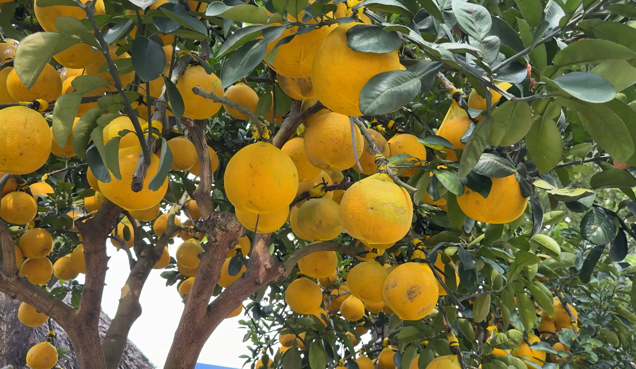 z7418059879375_aced9ca0b3bac929301fd6989f186242