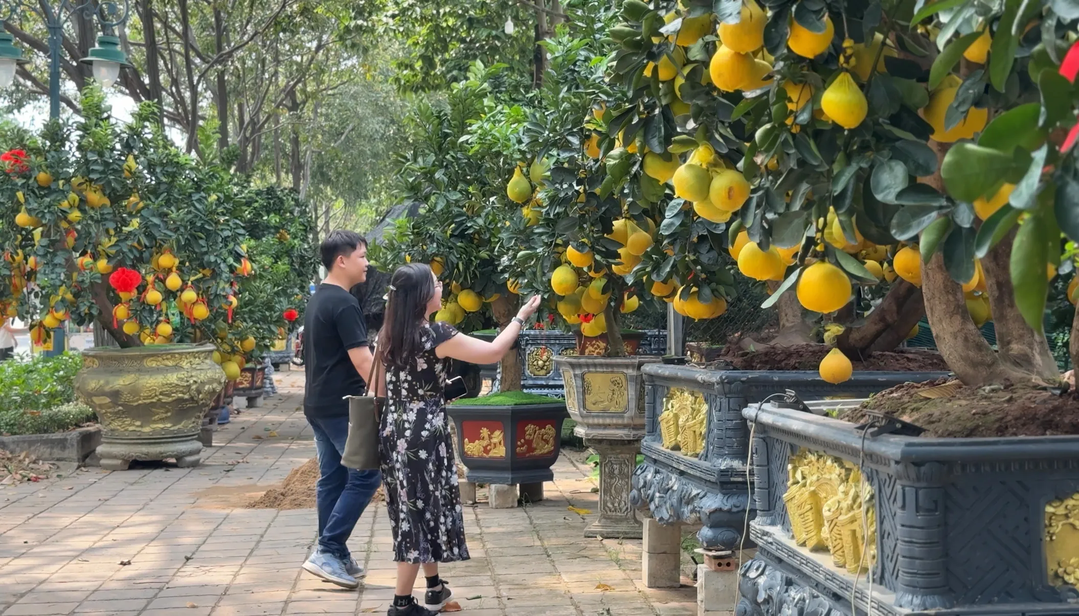 z7418059886881_aaa998c1be5482a16ba362db00675d4f