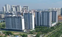 Khởi nghiệp với mô hình nuôi dúi