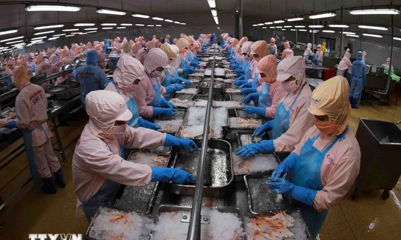 Năm 2025, giá trị thủy sản Việt Nam nhập khẩu vào Singapore đạt hơn 97 triệu đô la Mỹ