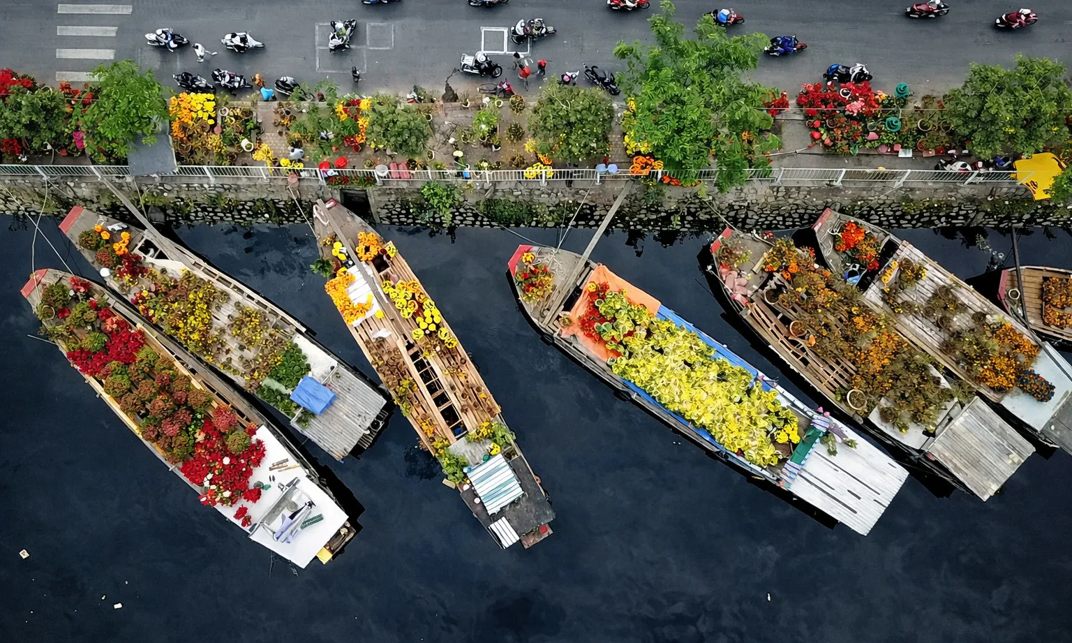 Chợ hoa Tết Bình Đông 2026: Rộn ràng sắc xuân với hơn 500 gian hàng