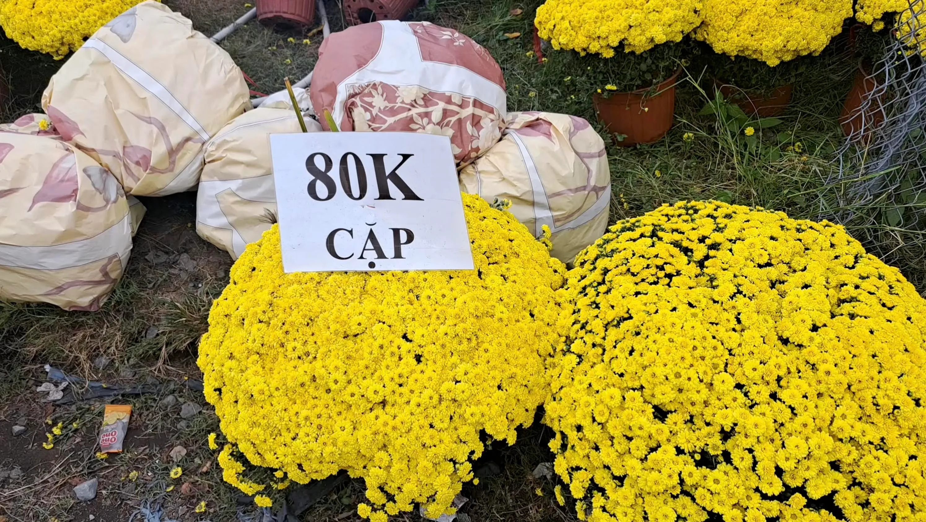 Screenshot 2026-01-25 at 11.24.54