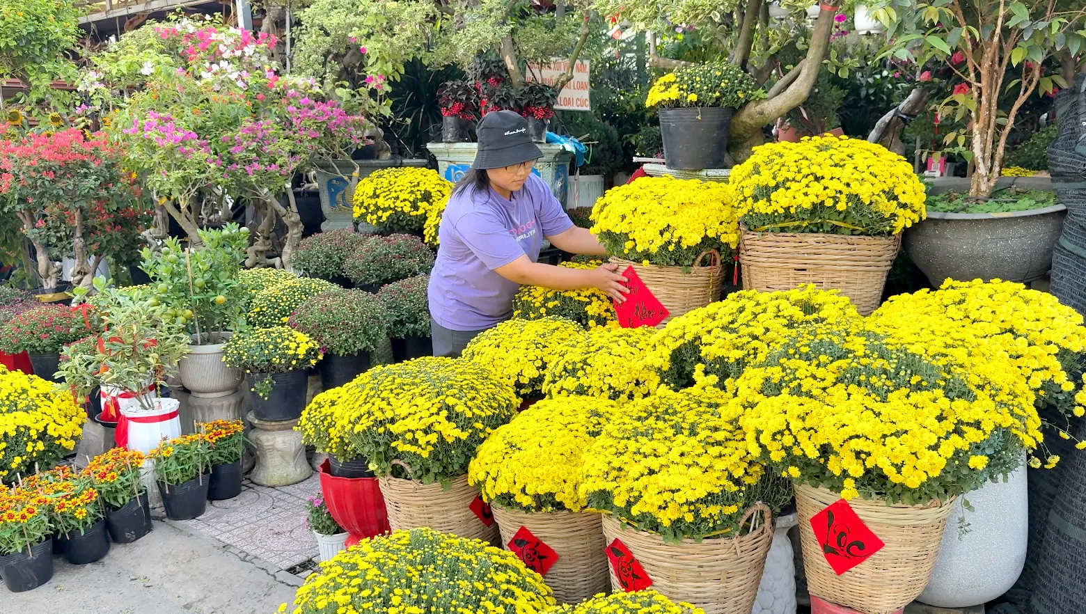 Screenshot 2026-01-25 at 11.42