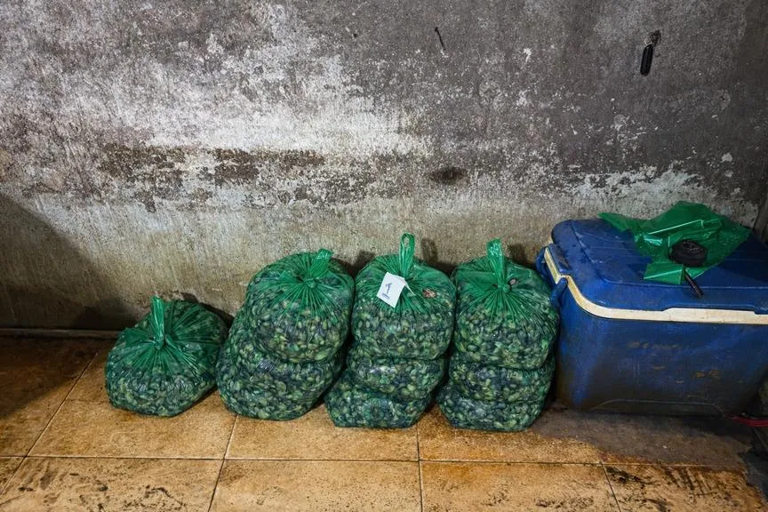 chatgpt-image-13-34-53-27-thg-1-2026_20260127134523