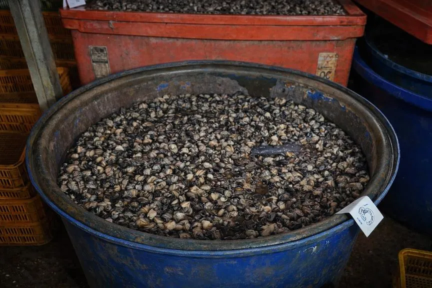 chatgpt-image-13-33-06-27-thg-1-2026_20260127134518