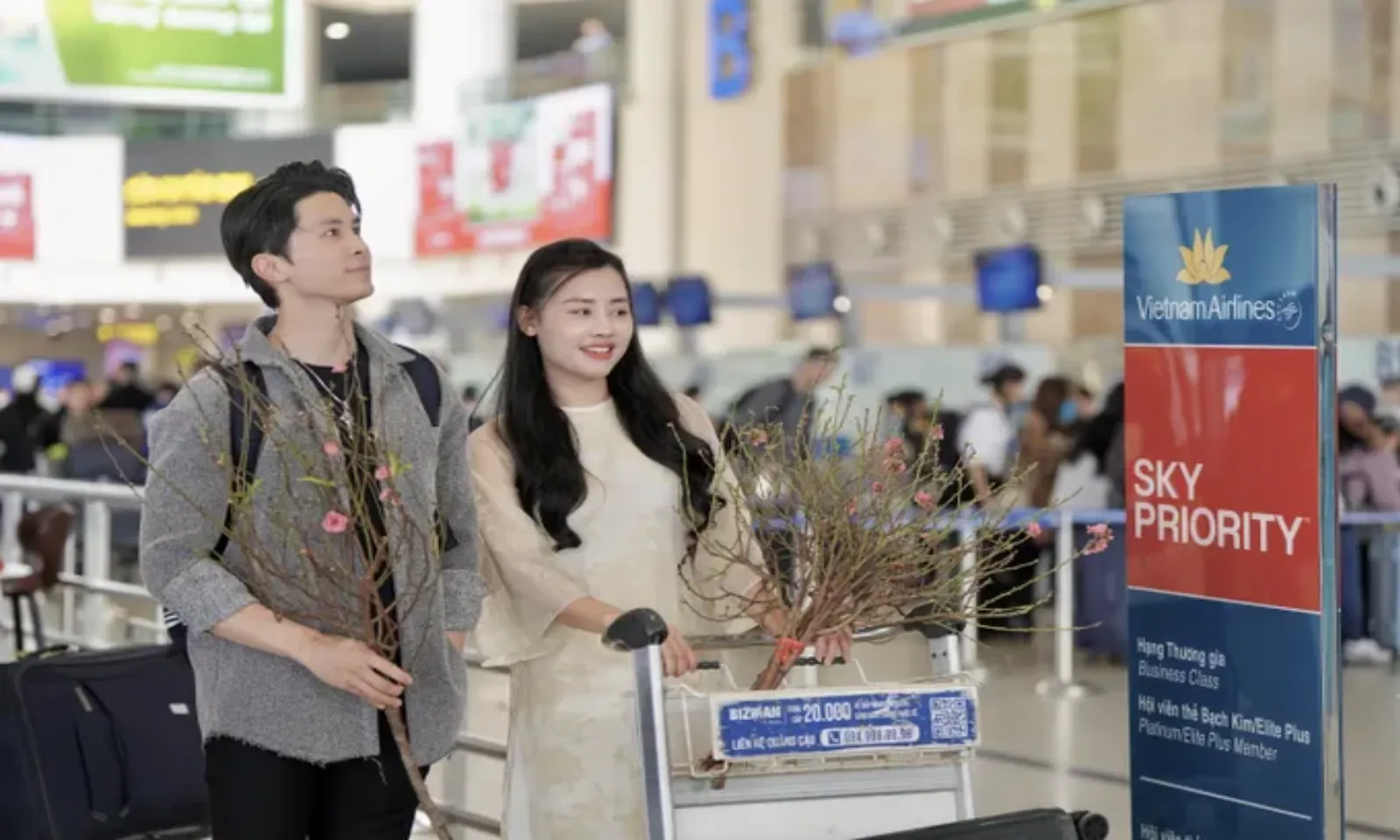 Hàng không mở dịch vụ vận chuyển đào, mai dịp Tết Bính Ngọ 2026 – Hình 1