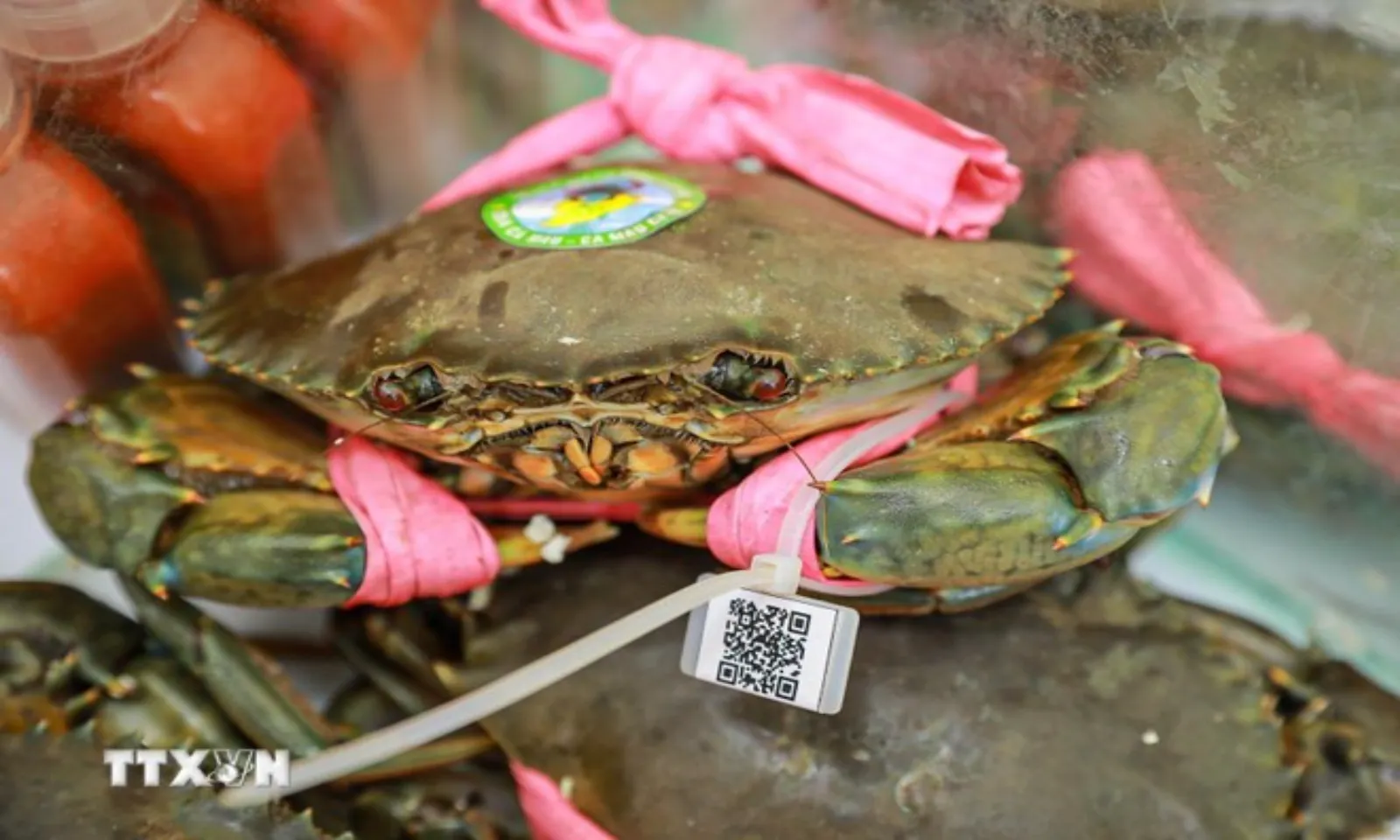 Khuyến khích sử dụng mã số, mã vạch trong sản xuất, kinh doanh – Hình 2