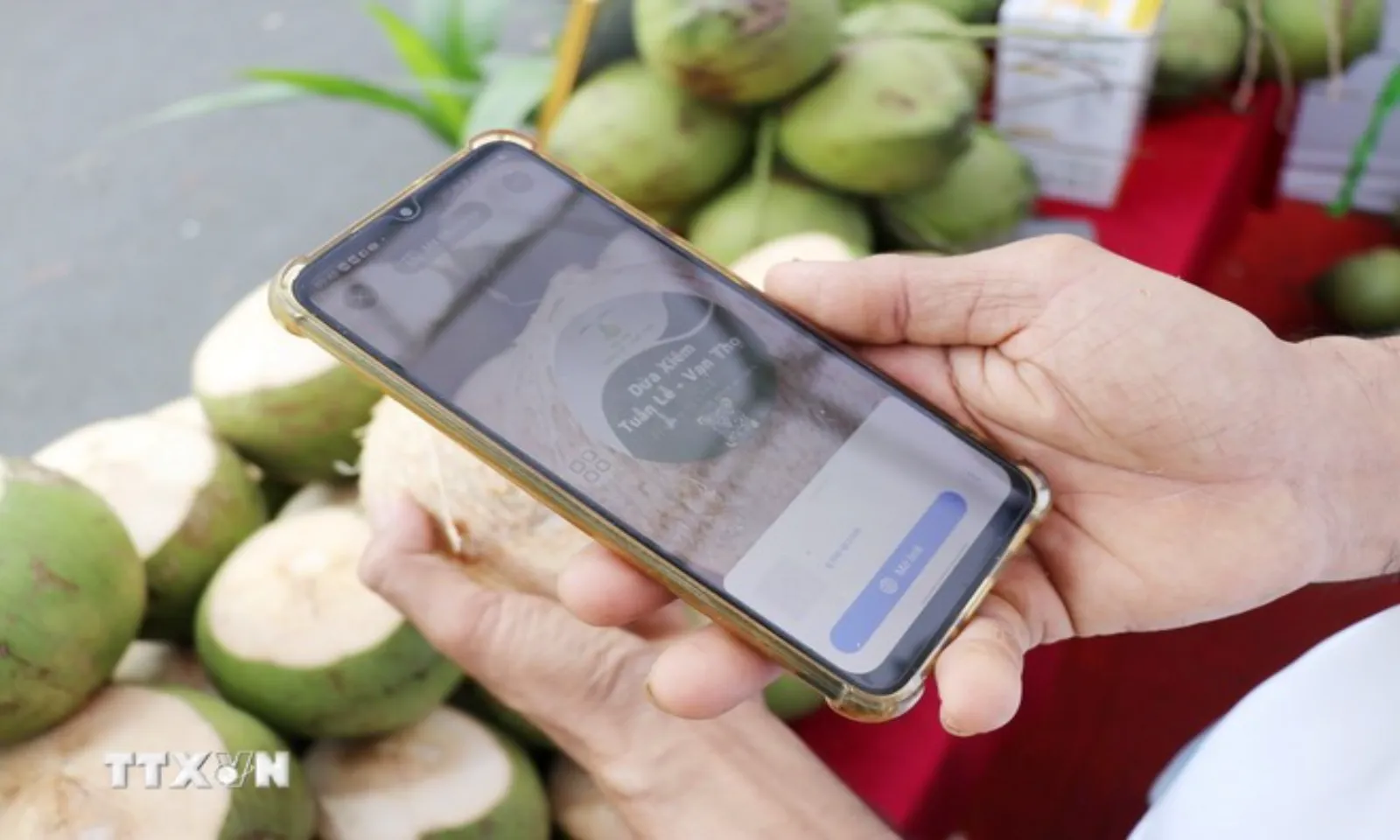 Khuyến khích sử dụng mã số, mã vạch trong sản xuất, kinh doanh – Hình 3