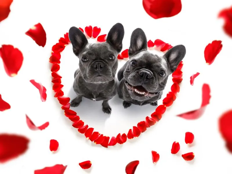 voh-hinh-nen-valentine-9