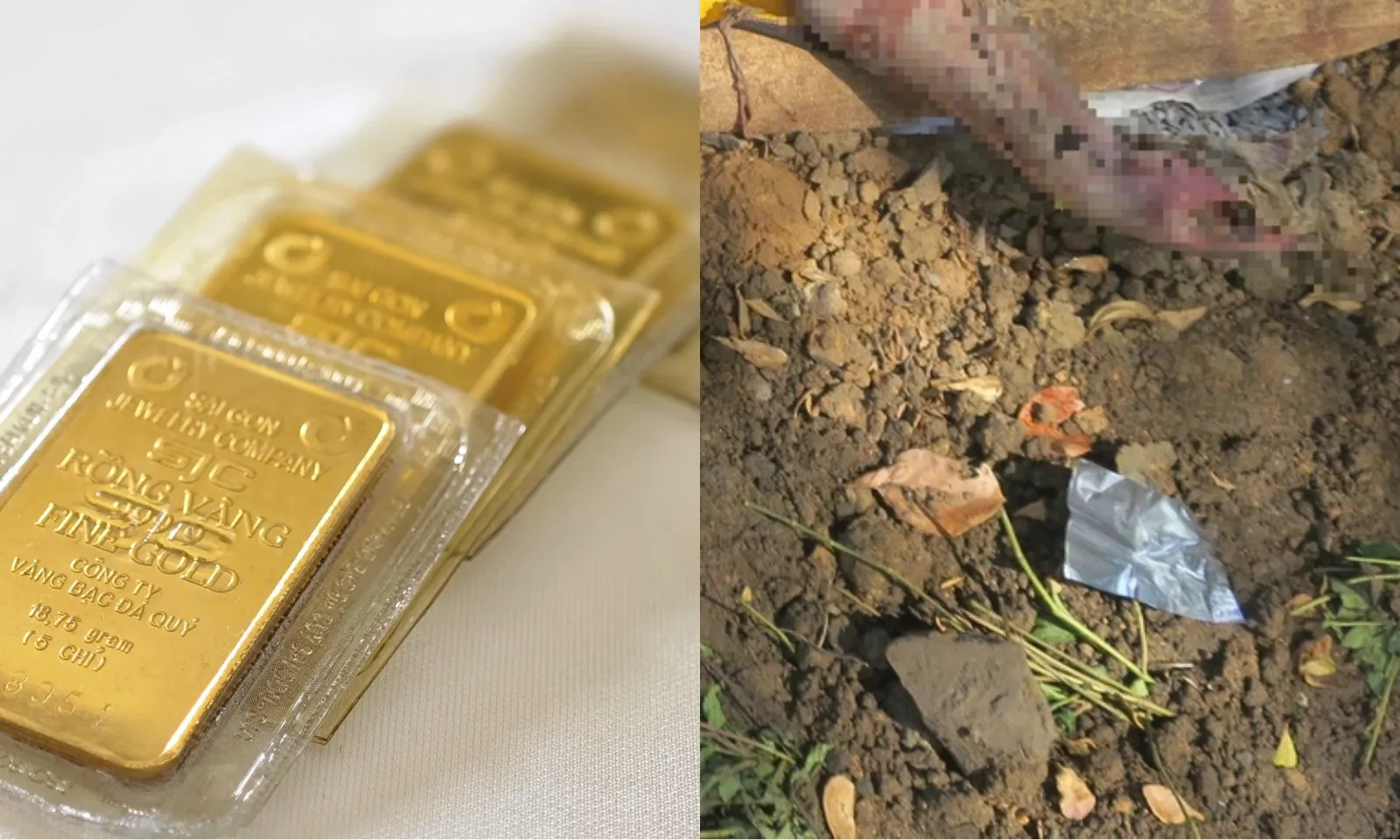 Điểm tin trưa 28/1: Vàng SJC tăng hơn 3 triệu đồng | Phát hiện một thi thể ở rạch Giồng Ông Tố