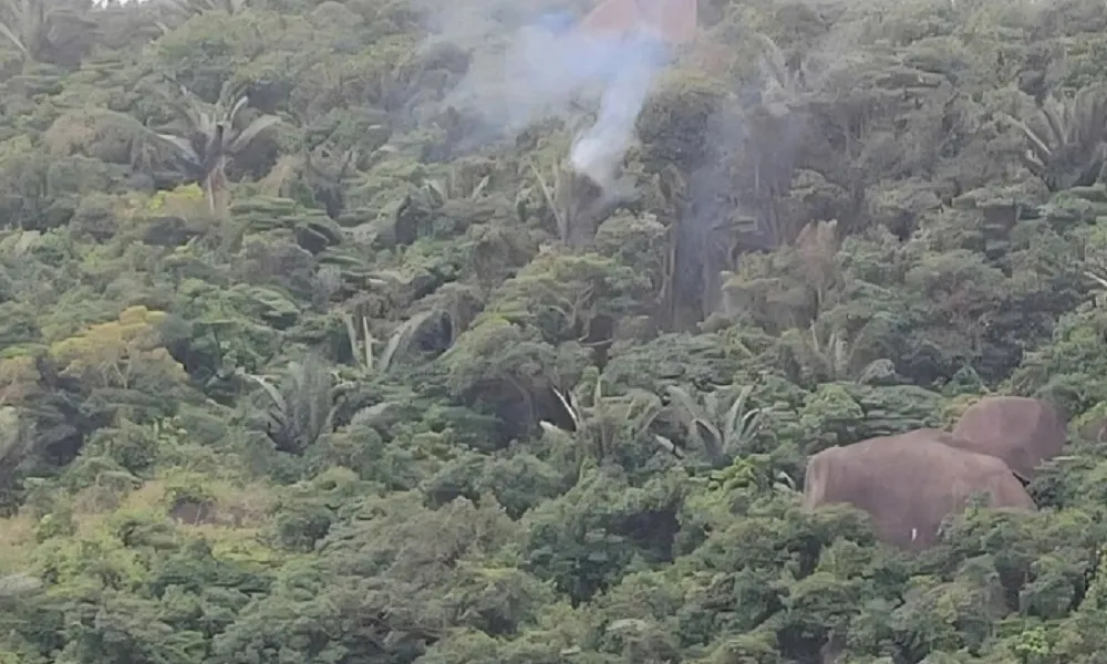 Bộ Quốc phòng thông tin về sự cố máy bay quân sự rơi tại Đắk Lắk