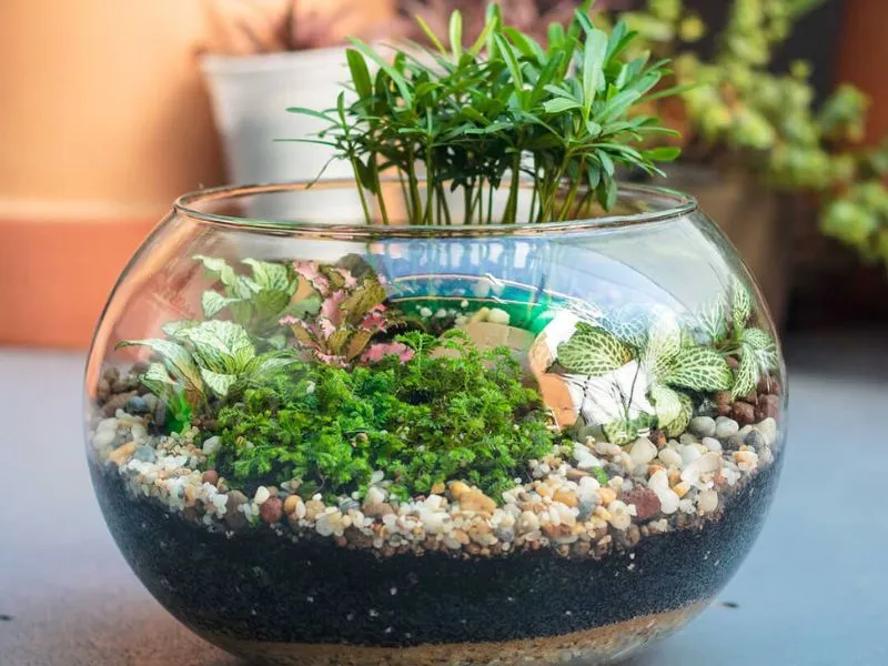 voh-qua-tet-cho-dong-nghiep-2