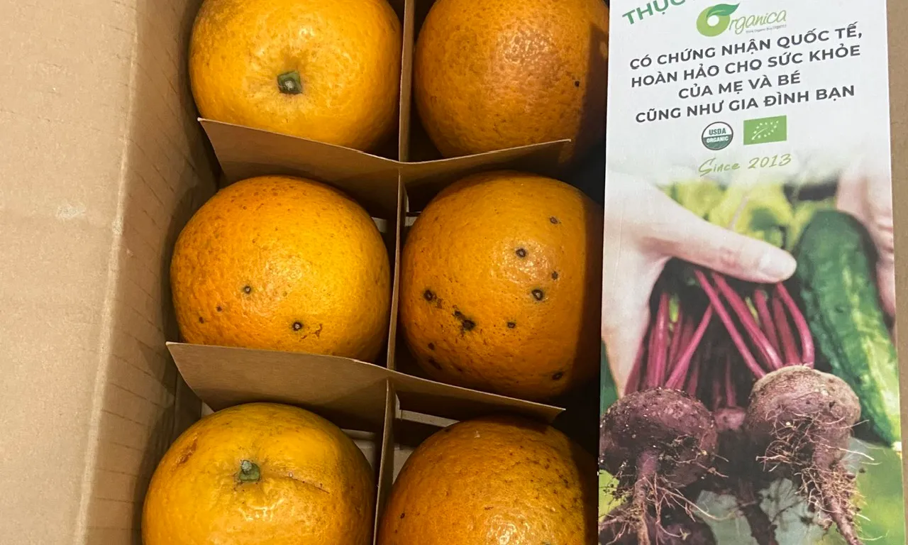 Xu hướng tiêu dùng xanh, sạch, có xuất xứ nguồn gốc tăng cao