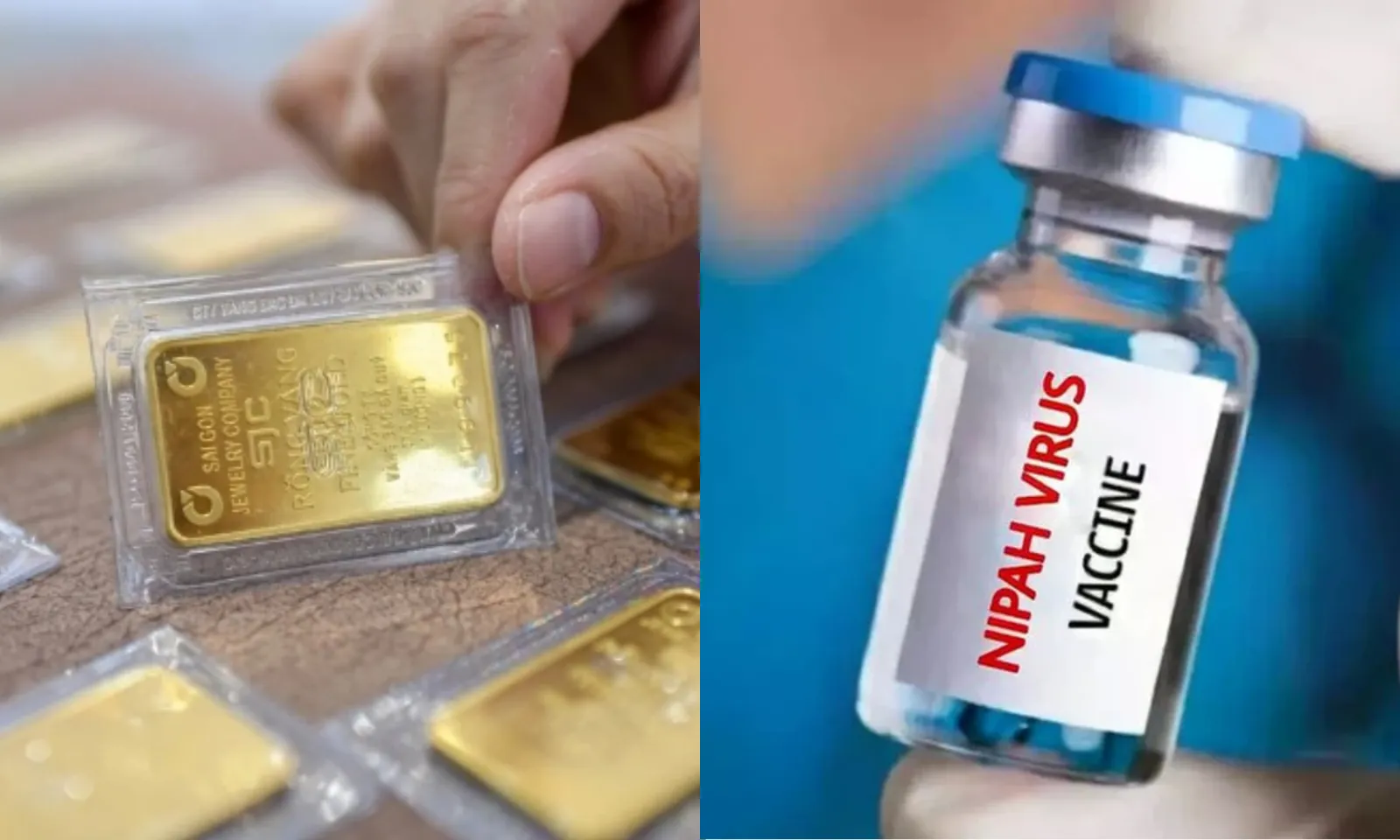 Điểm tin trưa 01/02: Giá bán SJC giữ 172 triệu đồng/lượng | Vắc xin ngừa vi rút Nipah sắp thử nghiệm