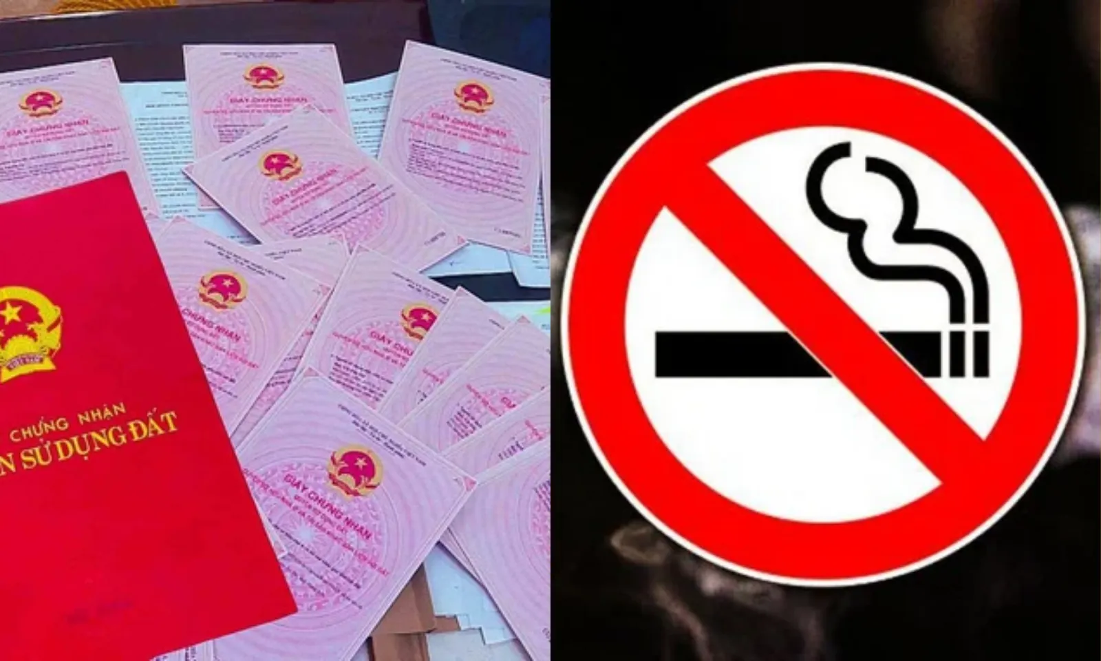 Điểm tin sáng 04/02: Cấm hút thuốc hoàn toàn tại nhiều nơi công cộng|Sổ đỏ được tích hợp trên VNeID