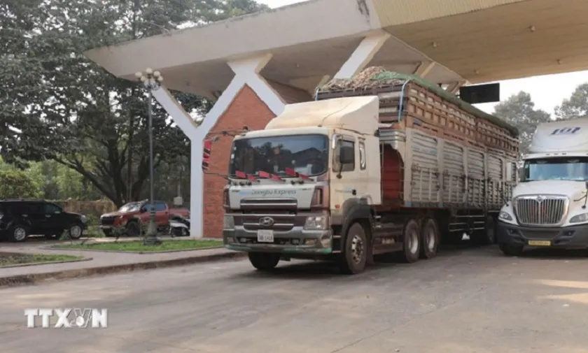Tạm dừng áp dụng Nghị định số 46 về an toàn thực phẩm đến hết ngày 15/4