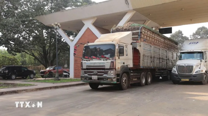 thao-go-kho-khan-thu-tuc-nhap-hang-nong-san-tai-cua-khau