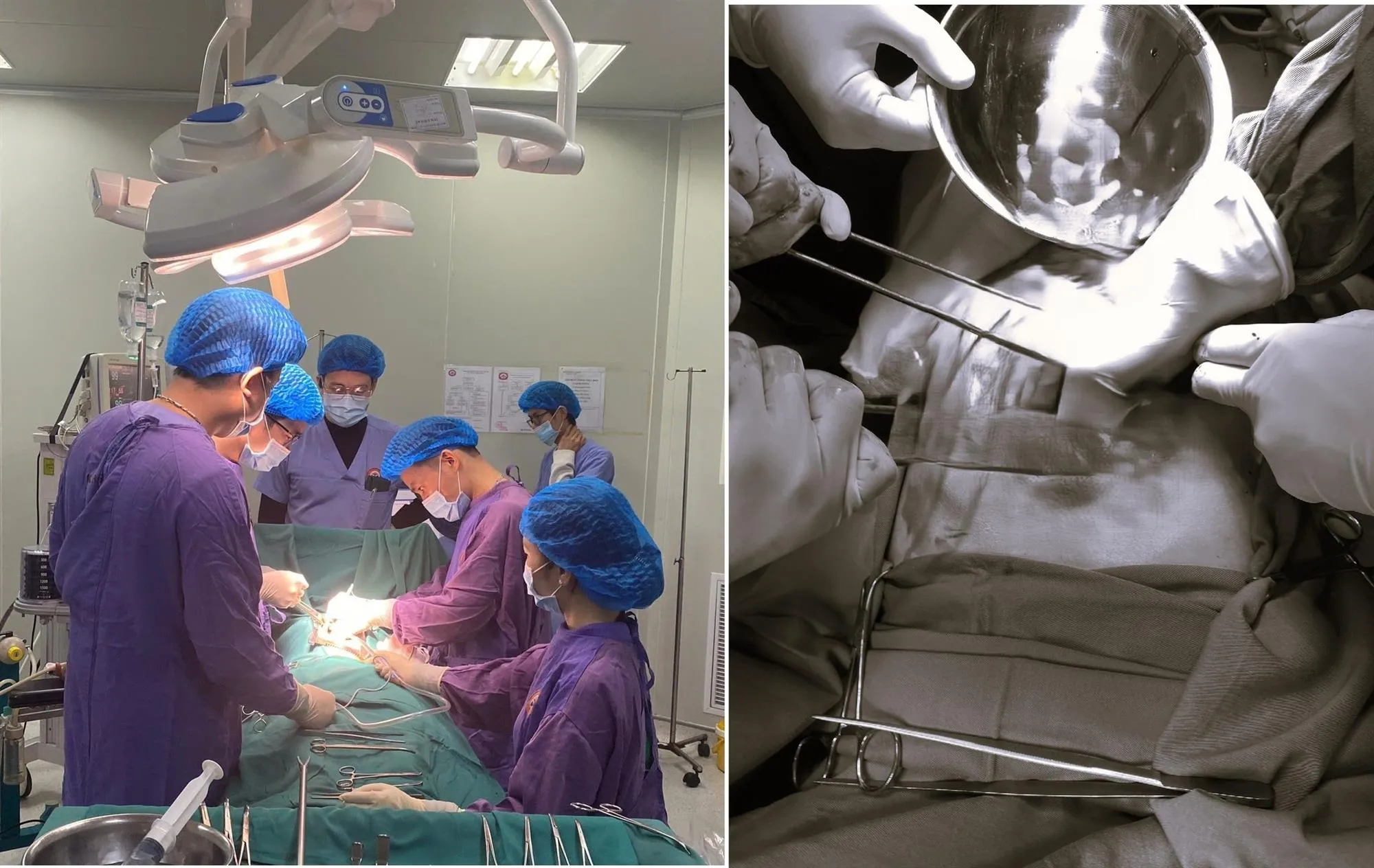 voh.com.vn-nga-do-don-nha-don-tet