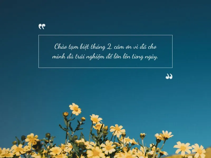 voh-stt-tam-biet-thang-2-1