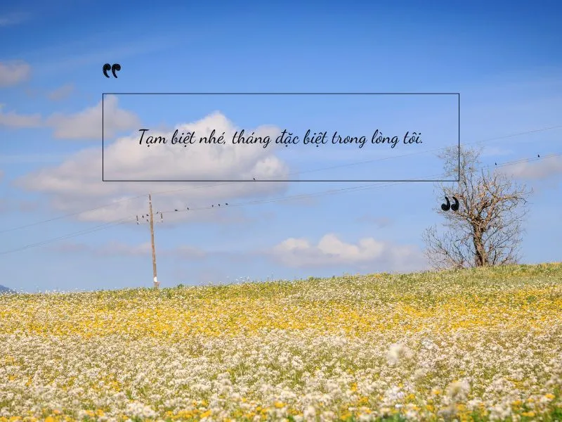 voh-stt-tam-biet-thang-2-2