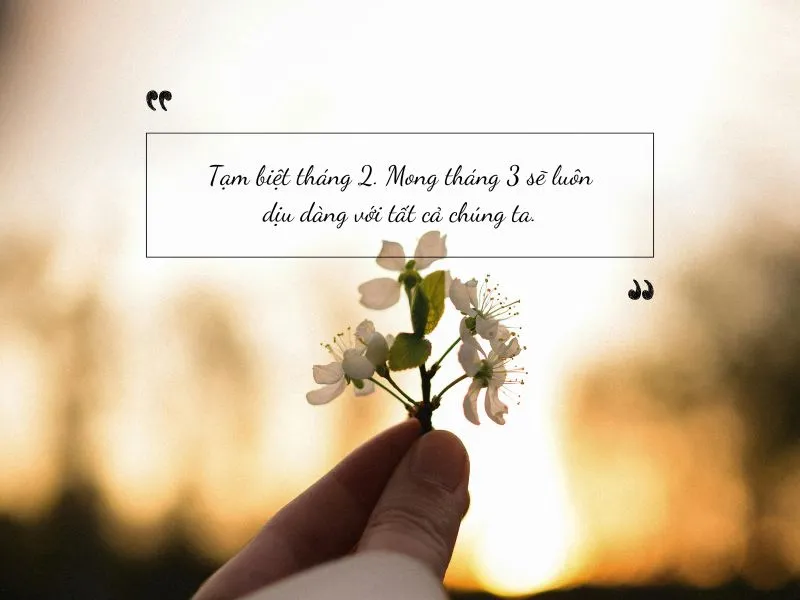 voh-stt-tam-biet-thang-2-4