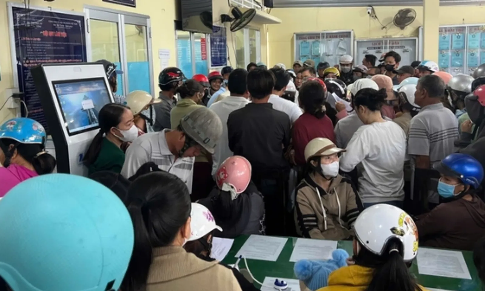 ảnh minh họa + thumb  (1)