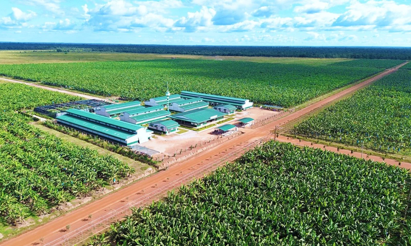 Lào, Campuchia Thị trường chiến lược mới của doanh nghiệp Việt – Hình 3