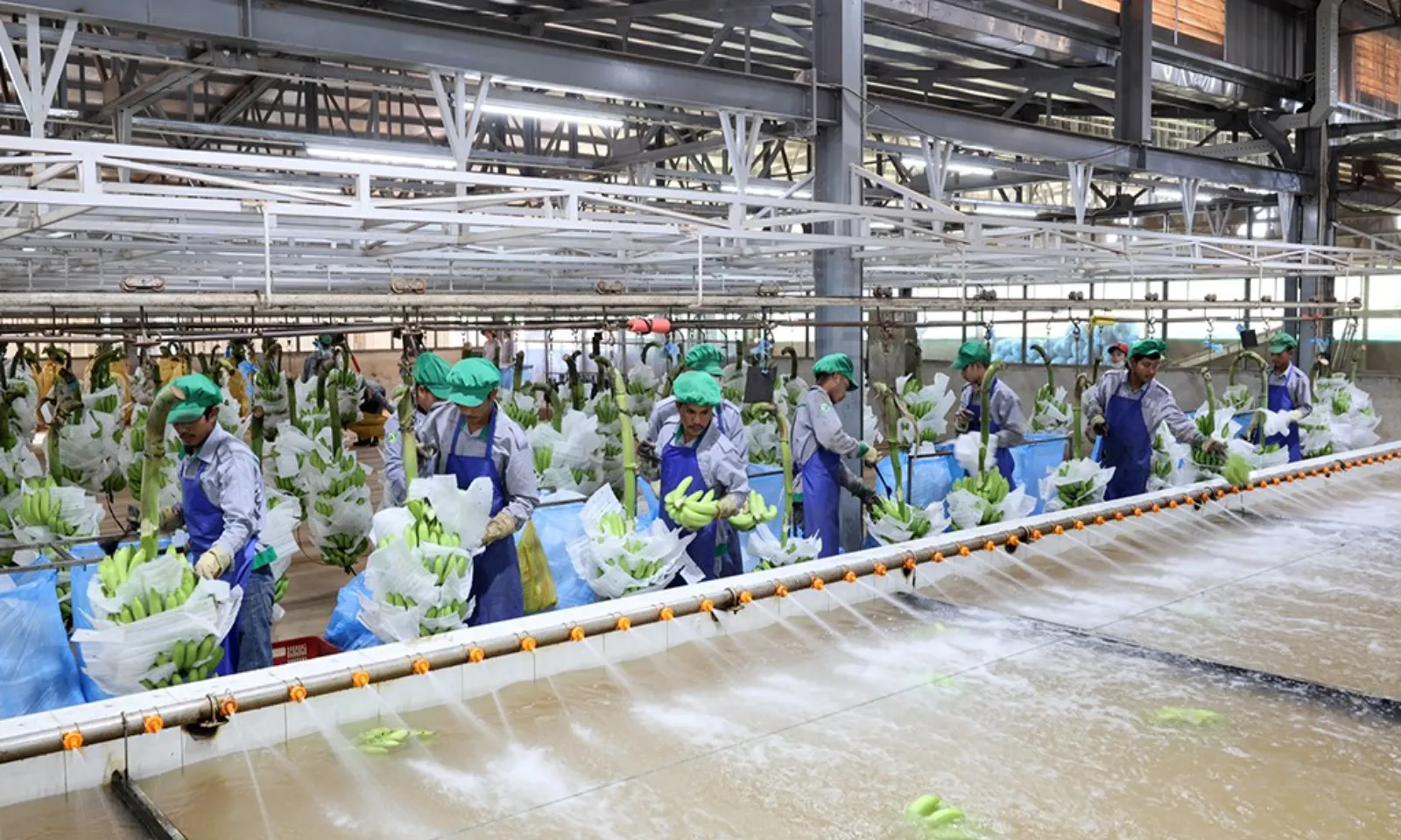 Lào, Campuchia Thị trường chiến lược mới của doanh nghiệp Việt – Hình 4