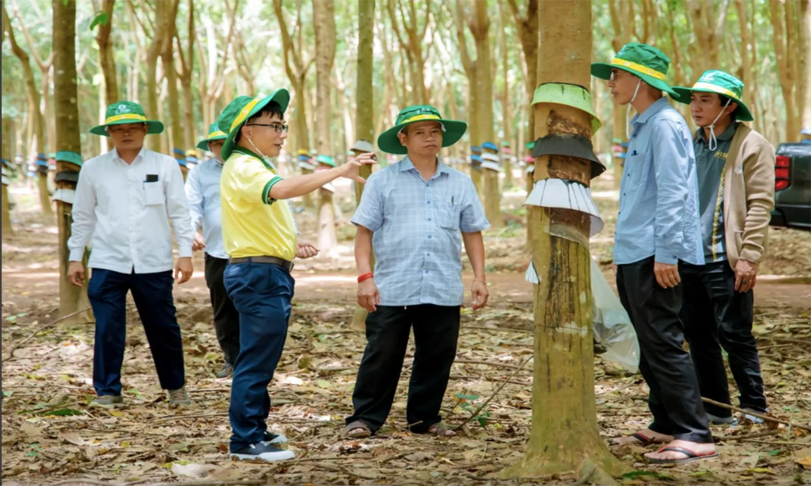 Lào, Campuchia Thị trường chiến lược mới của doanh nghiệp Việt – Hình 5