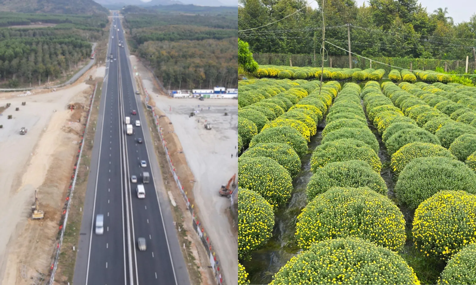 Điểm tin sáng 7/2: Cao tốc Bắc-Nam mở 21 trạm dừng nghỉ dịp Tết | Bác tin đồn về giấy nguồn gốc hoa