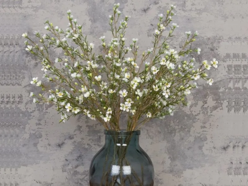 voh-cach-cam-hoa-thanh-lieu-1