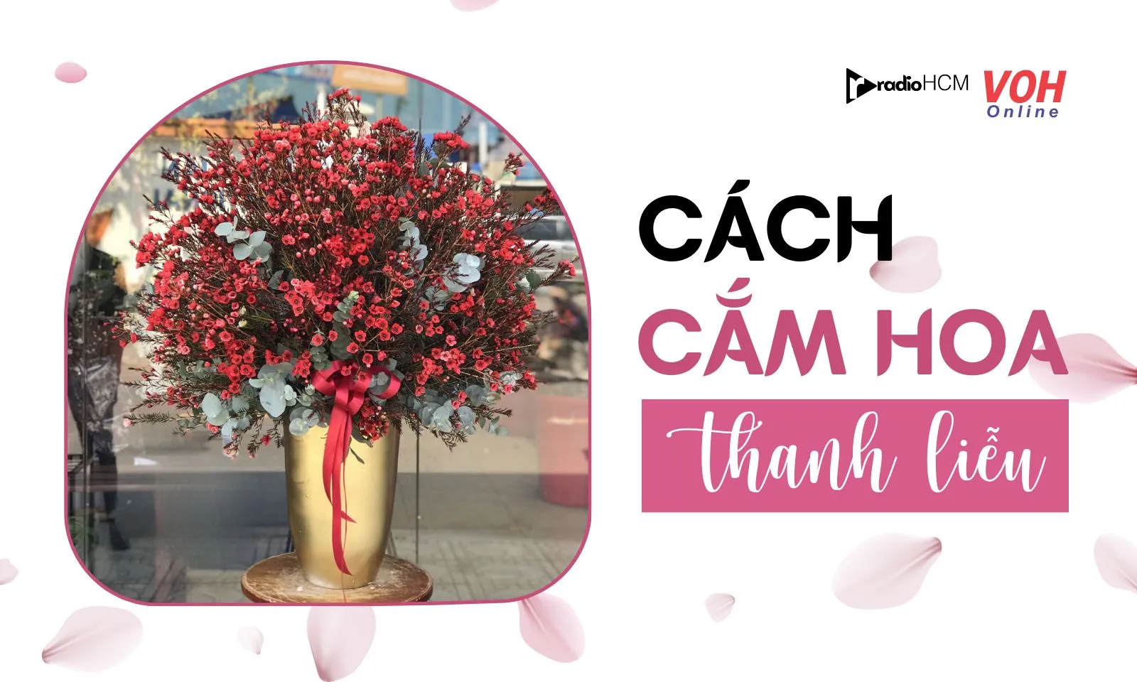 Hướng dẫn cách cắm hoa thanh liễu đẹp, bắt mắt và tươi lâu