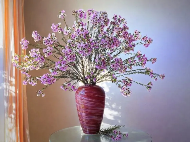 voh-cach-cam-hoa-thanh-lieu-2