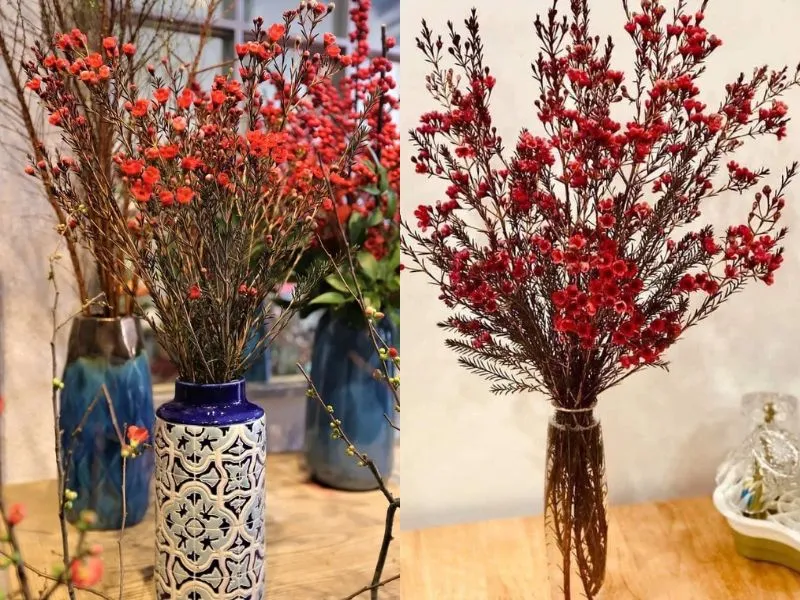 voh-cach-cam-hoa-thanh-lieu-6